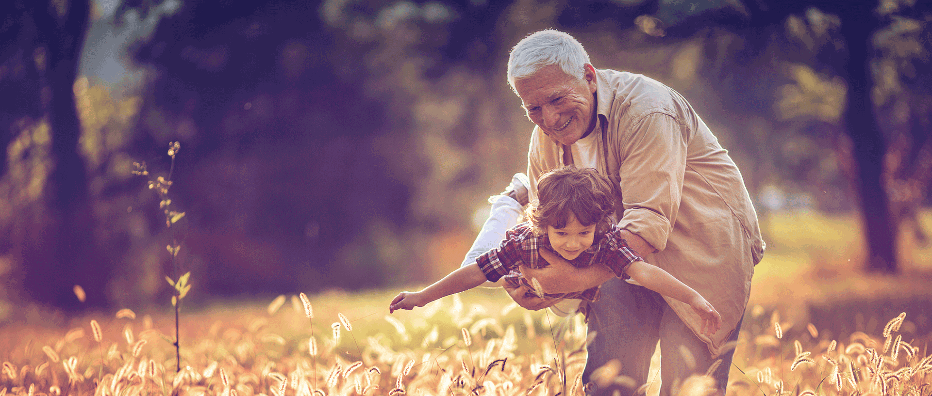 尊龙凯时【官方网站】人生就是搏!