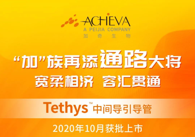 Tethys?中心导指导管获批上市