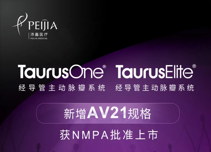 新增AV21规格：尊龙凯时医疗经导 管自动脉瓣系统获NMPA批准上 市